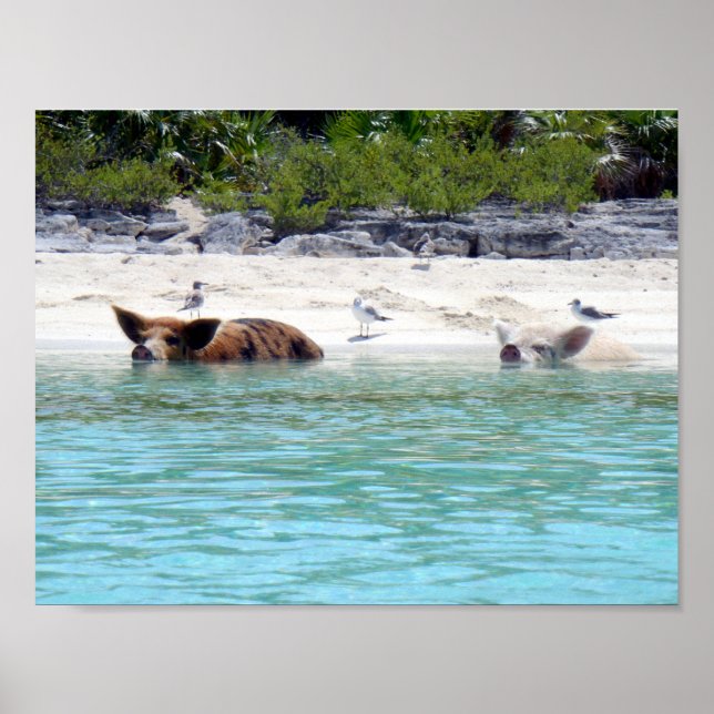 Poster de la baignade sur la plage (Devant)