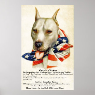 Poster de la bannière étoilée vintage Pit Bull Dog