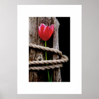 Poster de la beauté prise en otage