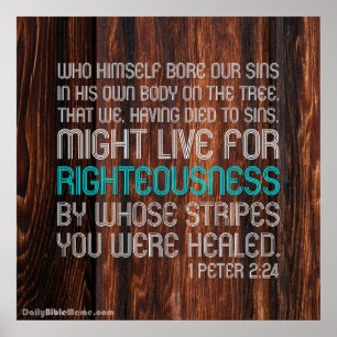 Poster de la Bible - 1 Pierre 2:24