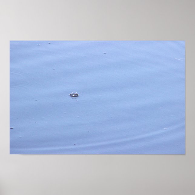 Poster de la bulle dans l'étang (Devant)