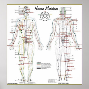 Poster de la carte des méridiens humains et des po