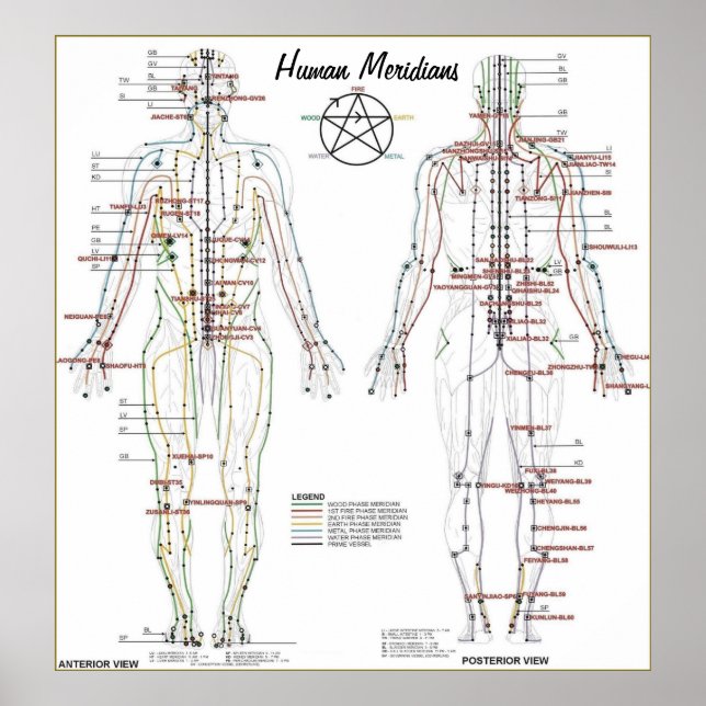 Poster de la carte des méridiens humains et des po (Devant)
