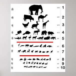 Poster de la carte des yeux animaux