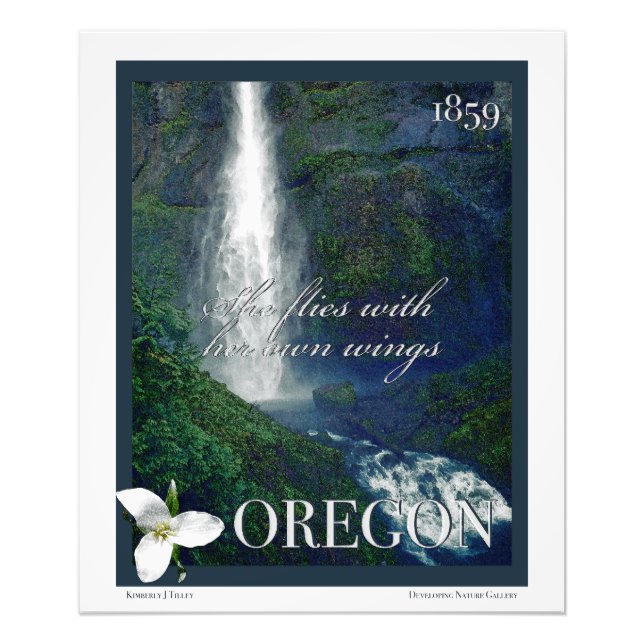 Poster de la cascade de l'Oregon (Devant)
