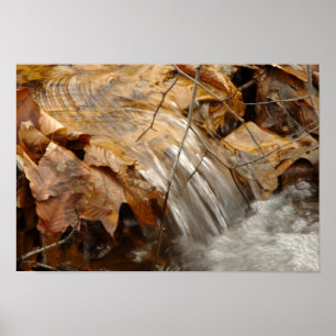 Poster de la cascade des feuilles d'automne