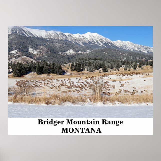 Poster de la chaîne de montagnes Bridger dans le M (Devant)