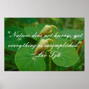 Poster de la citation de la nature Lao Tzu