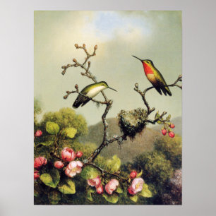 Poster de la famille des colibris et de la florais