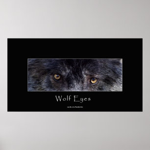 Poster de la faune Black Wolf Eyes