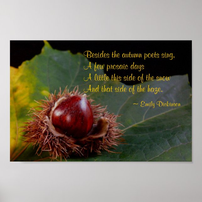 Poster de la feuille d'automne avec la noix et Emi (Devant)