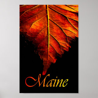 Poster de la feuille d'automne | Poster de la feui