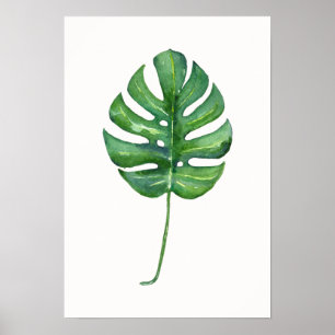 Poster de la feuille tropicale (Monstera) aquarell