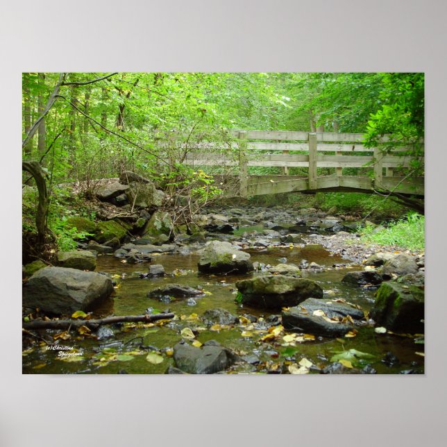 Poster de la forêt du pont Creek (Devant)
