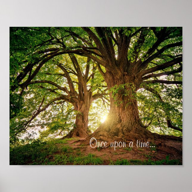 Poster de la forêt Imaginaire (Devant)