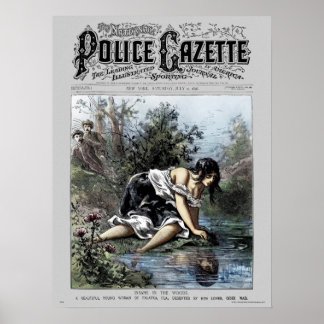 Poster de la Gazette de la police Insane Woods