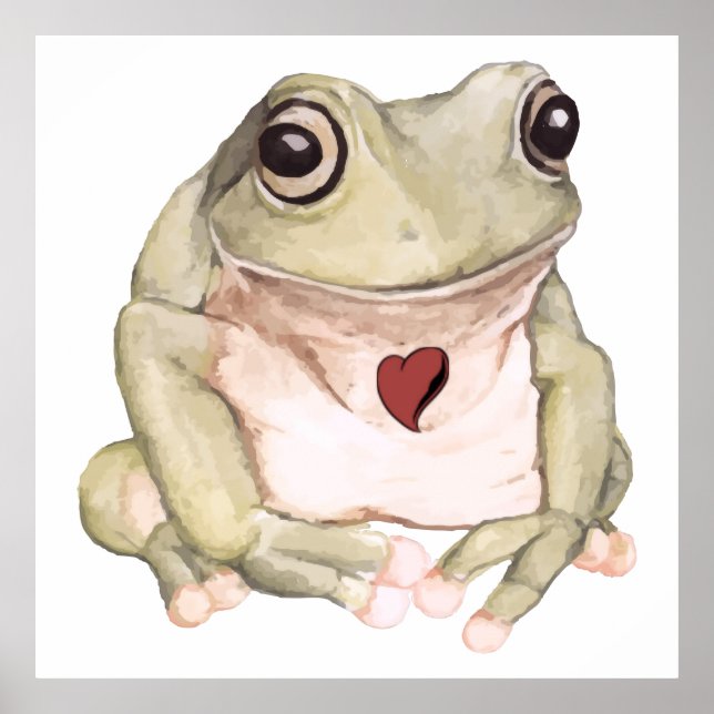 Poster de la grenouille verte dessinée à la main (Devant)