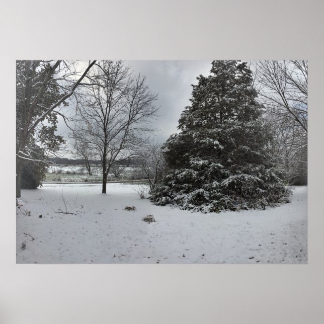 Poster de la journée d'hiver de Cold Snowy (Devant)