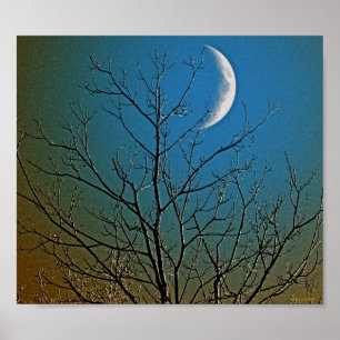 Poster de la lune mystique