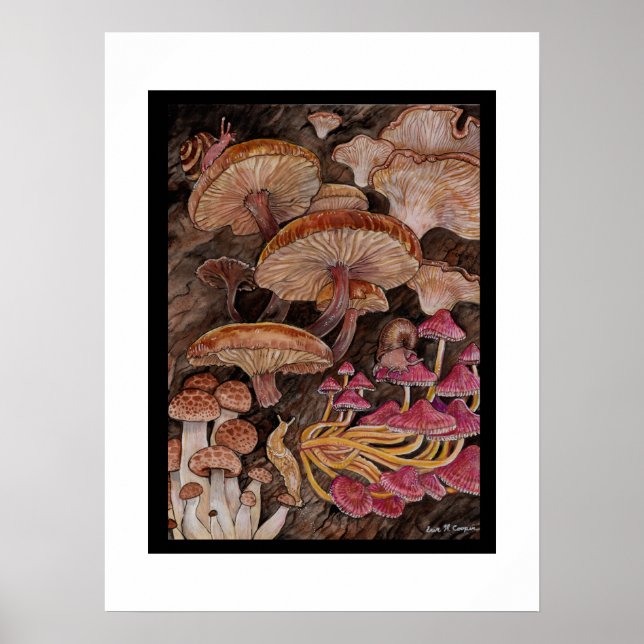 Poster de la ménagerie des champignons (Devant)