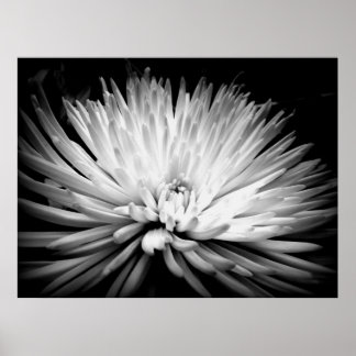 Poster de la mère de Starburst Blossom