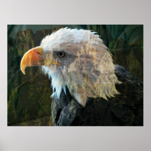 Poster de la montagne de Bald Eagle