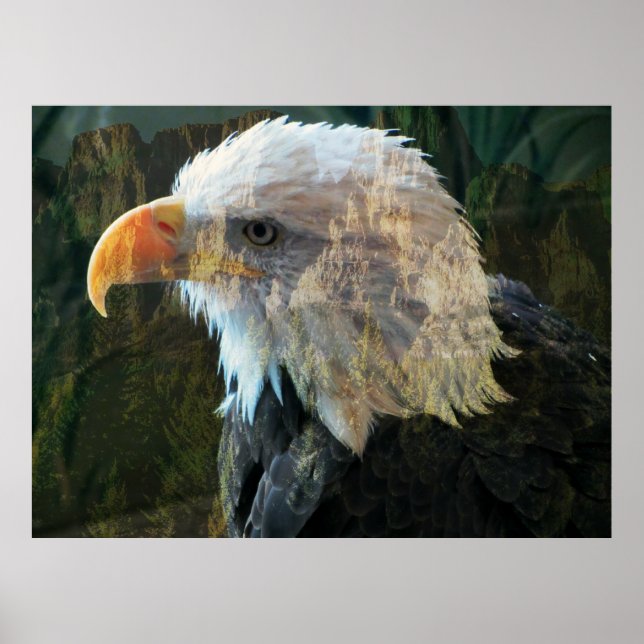 Poster de la montagne de Bald Eagle (Devant)
