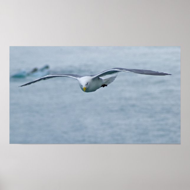 Poster de la Mouette 3 (Devant)