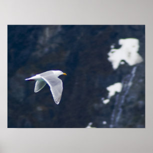 Poster de la Mouette 4