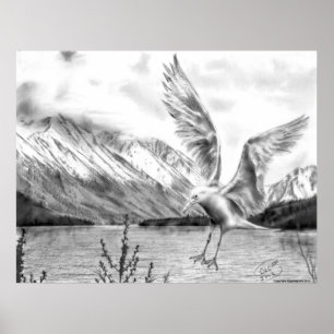 Poster de la Mouette et des Montagnes