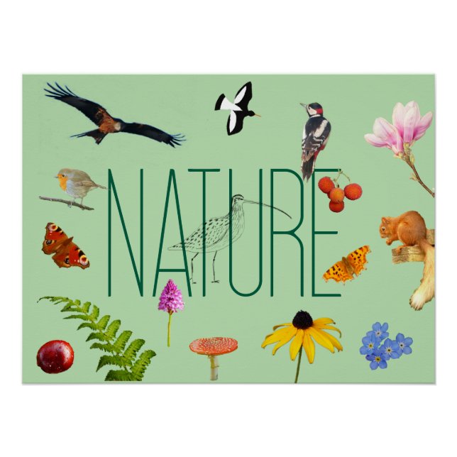Poster de la nature (Devant)
