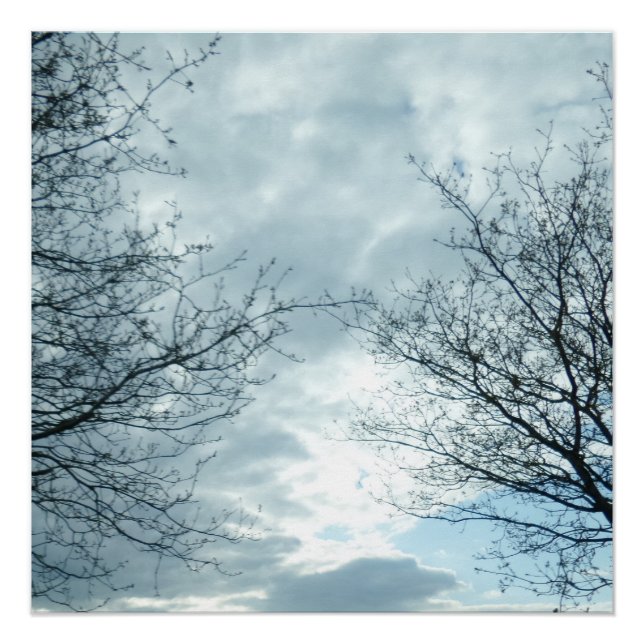 Poster de la nature (Devant)