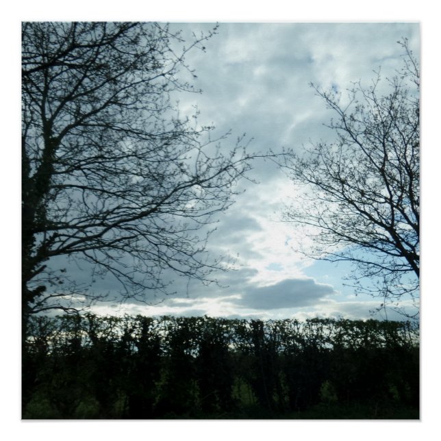 Poster de la nature (Devant)