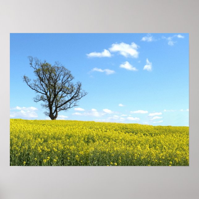 Poster de la nature (Devant)