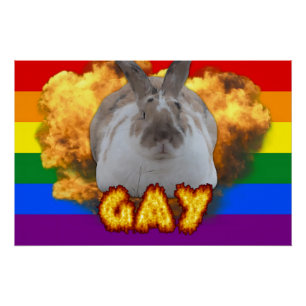 Poster de la Paddy Pride (Parapluie LGBT)