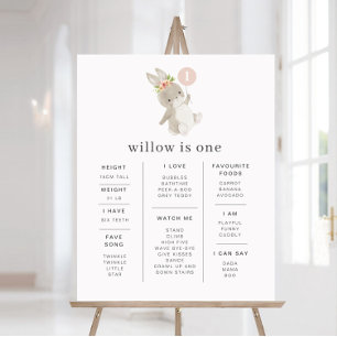 Poster de la pierre de taille du ballon rose lapin