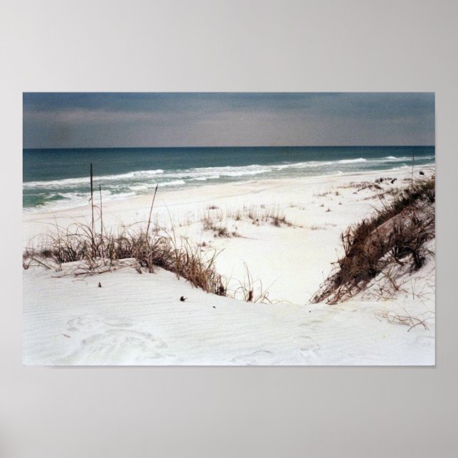 Poster de la plage Panhandle (Devant)