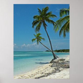 Poster de la plage tropicale