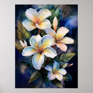 Poster de la Plumeria Hawaiian Moonlight