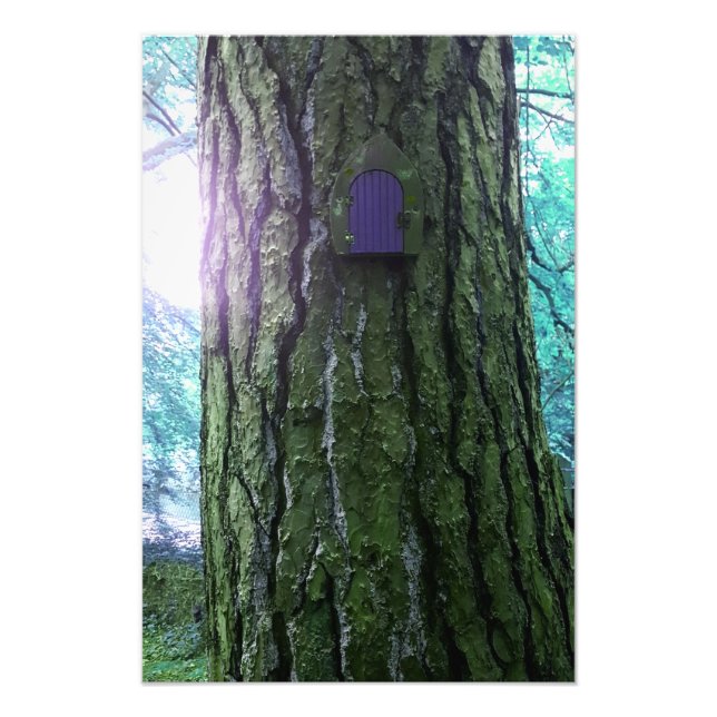 Poster de la Porte Fée sur l'Arbre (Devant)