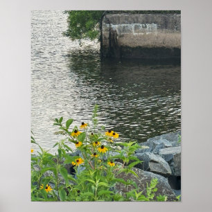 Poster de la rivière Susans aux yeux noirs