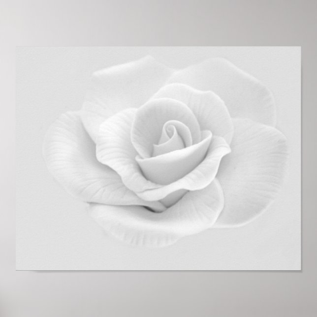 Poster de la Rose blanche (Devant)