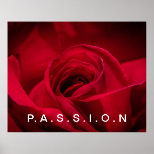 Poster de la Rose Rouge Passion