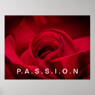 Poster de la Rose Rouge Passion