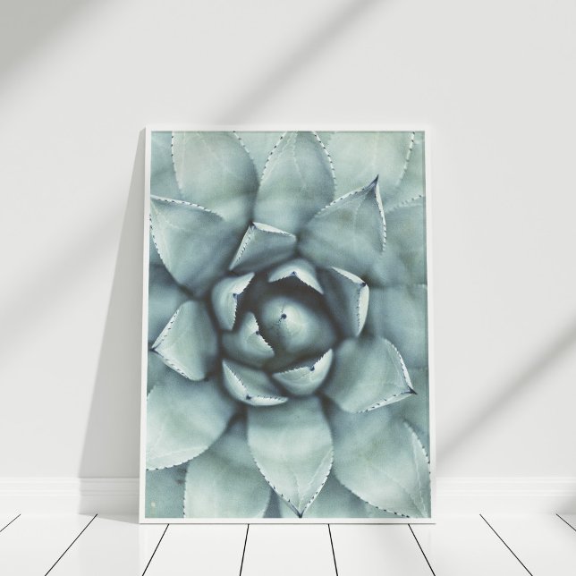 Poster de la sage de Boho Green Succulent (Pastel Green Succulent Closeup Poster in white frame on white wooden floor.)
