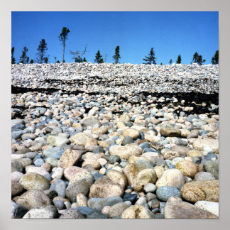 Poster de la scène Rocky Beach