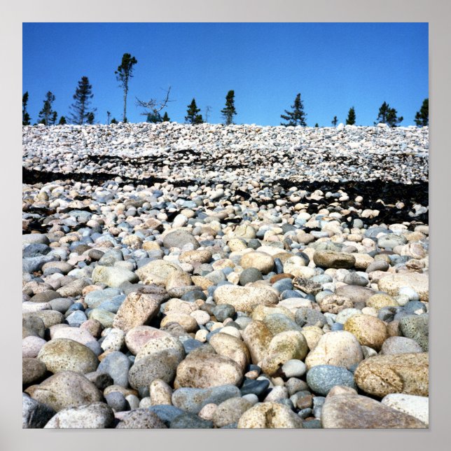 Poster de la scène Rocky Beach (Devant)