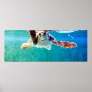 Poster de la tête de registre n° 4