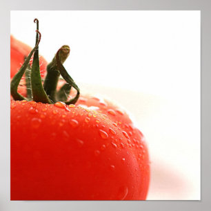 Poster de la Tomate Close Up