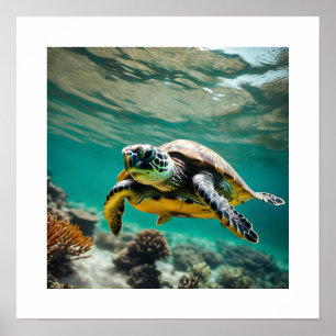 Poster de la tortue sous-marine